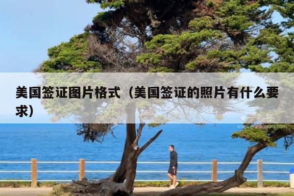美国签证图片格式(美国签证的照片有什么要求)