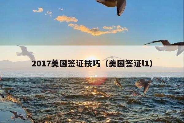 2017美国签证技巧(美国签证l1)