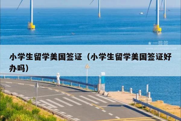 小学生留学美国签证(小学生留学美国签证好办吗)