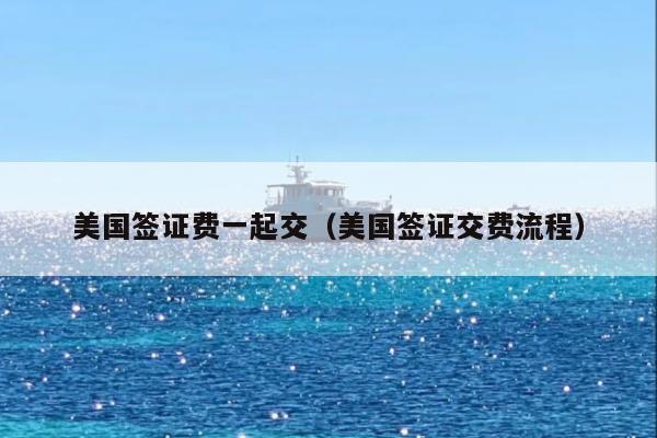 美国签证费一起交(美国签证交费流程)