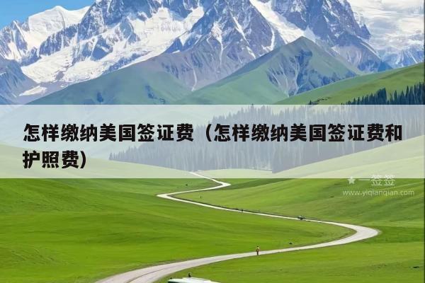 怎样缴纳美国签证费(怎样缴纳美国签证费和护照费)