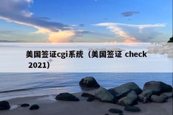 美国签证cgi系统(美国签证 check 2021)