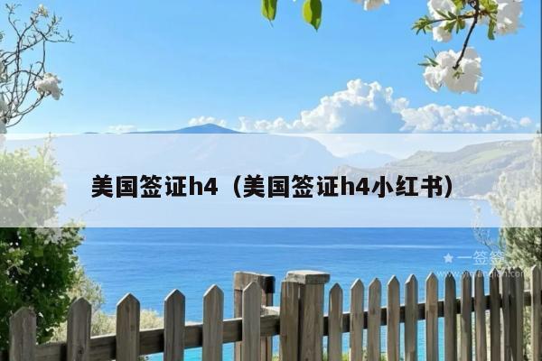 美国签证h4(美国签证h4小红书)