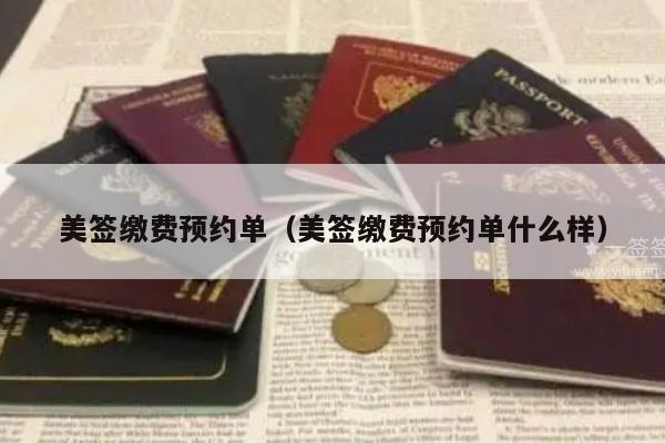 美签缴费预约单(美签缴费预约单什么样)
