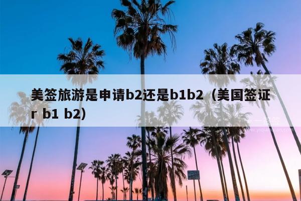 美签旅游是申请b2还是b1b2(美国签证r b1 b2)
