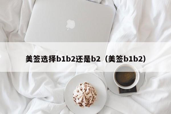 美签选择b1b2还是b2(美签b1b2)