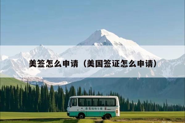 美签怎么申请(美国签证怎么申请)