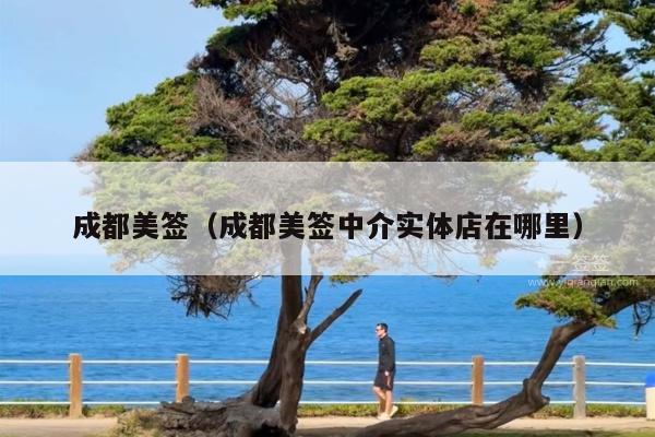 成都美签(成都美签中介实体店在哪里)