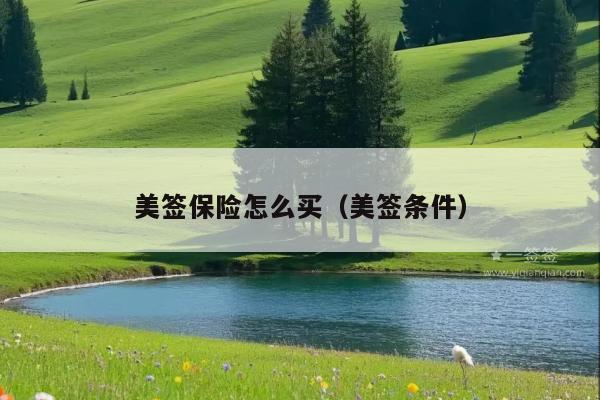 美签保险怎么买(美签条件)
