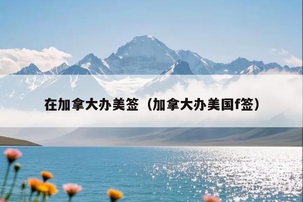 在加拿大办美签(加拿大办美国f签)