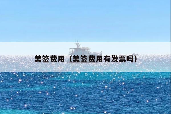美签费用(美签费用有发票吗)