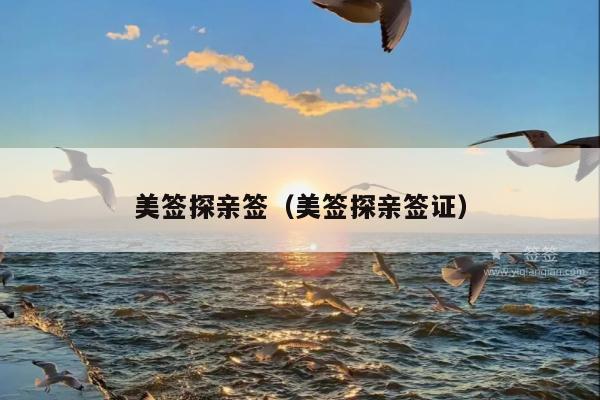 美签探亲签(美签探亲签证)