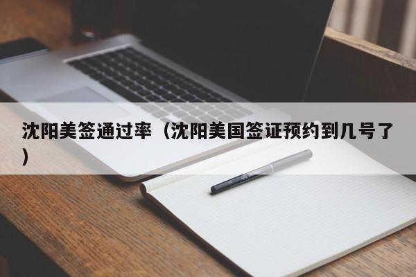 沈阳美签通过率(沈阳美国签证预约到几号了)