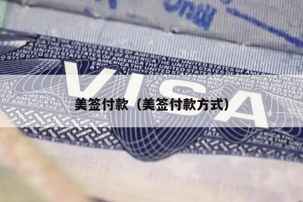 美签付款(美签付款方式)