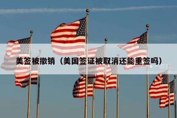 美签被撤销(美国签证被取消还能重签吗)