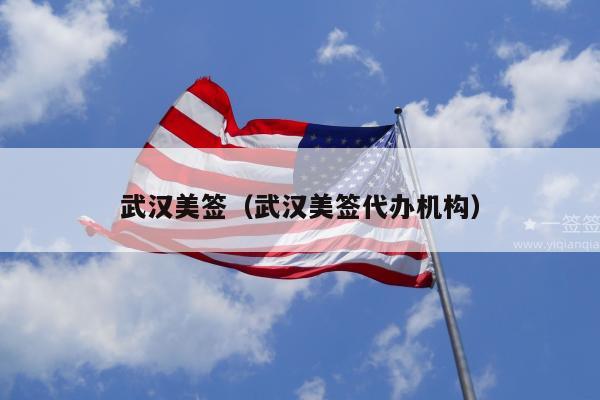 武汉美签(武汉美签代办机构)