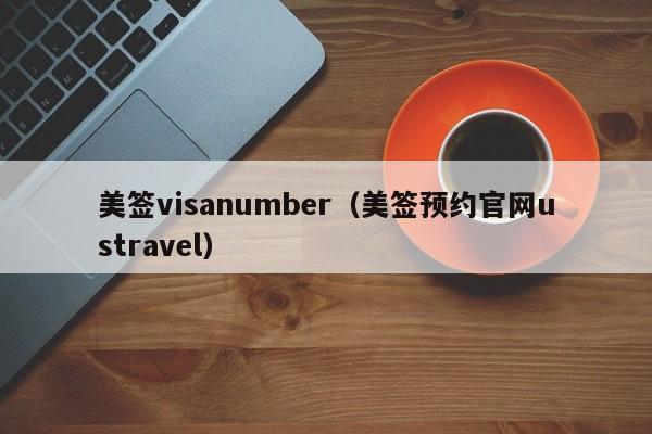 美签visanumber(美签预约官网ustravel)