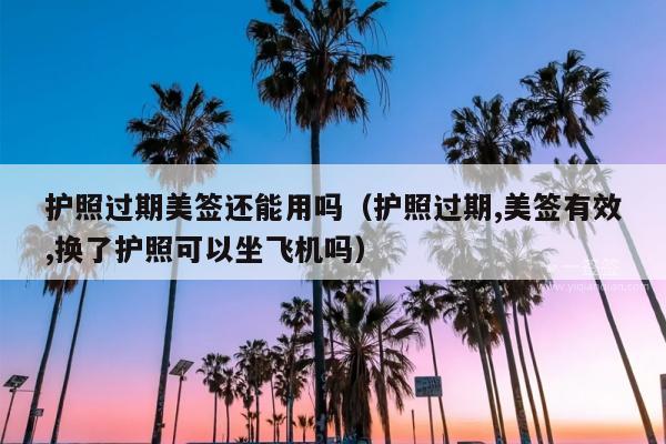 护照过期美签还能用吗(护照过期,美签有效,换了护照可以坐飞机吗)