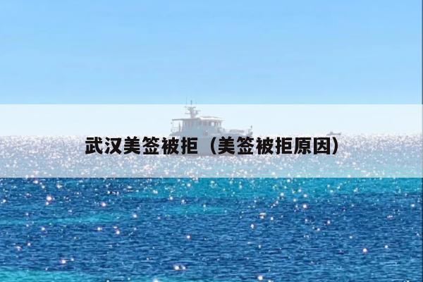 武汉美签被拒(美签被拒原因)