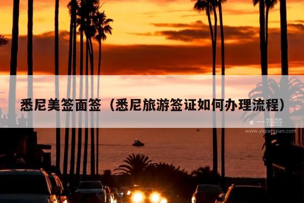悉尼美签面签(悉尼旅游签证如何办理流程)