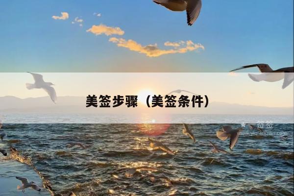 美签步骤(美签条件)