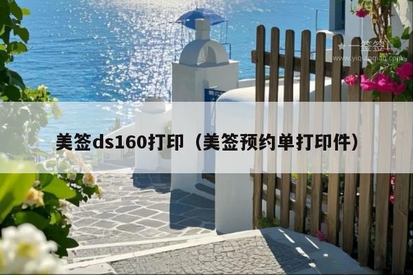 美签ds160打印(美签预约单打印件)