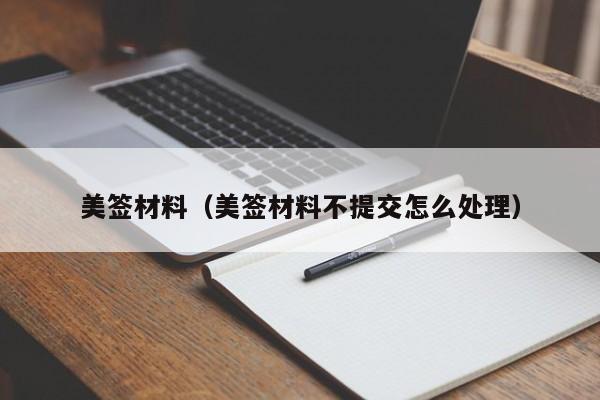 美签材料(美签材料不提交怎么处理)