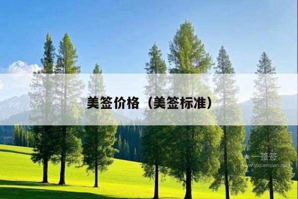 美签价格(美签标准)