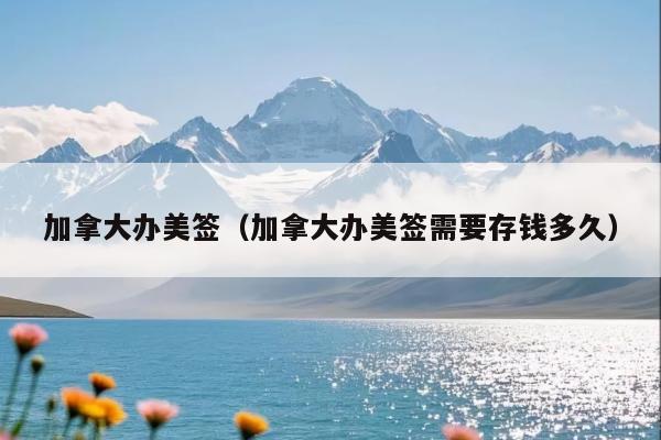 加拿大办美签(加拿大办美签需要存钱多久)