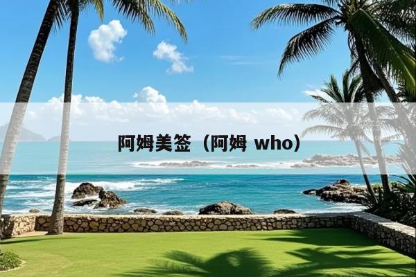 阿姆美签(阿姆 who)