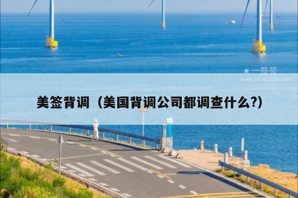 美签背调(美国背调公司都调查什么?)