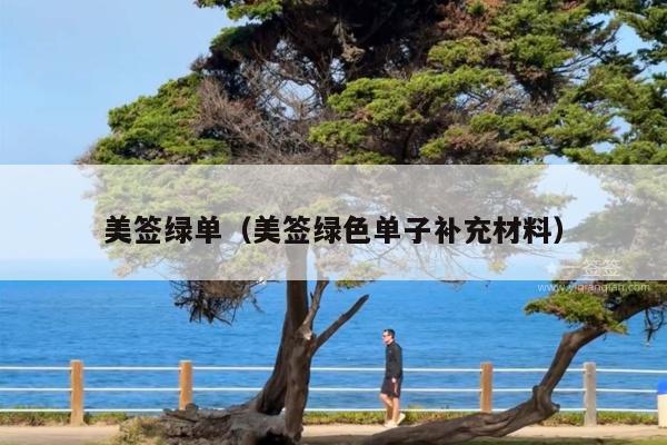 美签绿单(美签绿色单子补充材料)