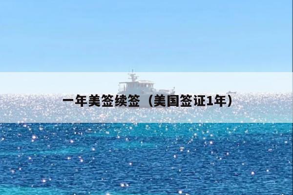 一年美签续签(美国签证1年)