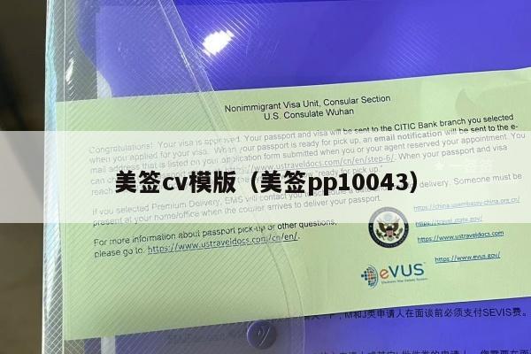 美签cv模版(美签pp10043)
