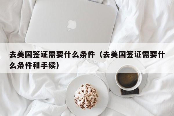 去美国签证需要什么条件(去美国签证需要什么条件和手续)