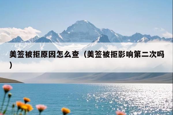 美签被拒原因怎么查(美签被拒影响第二次吗)