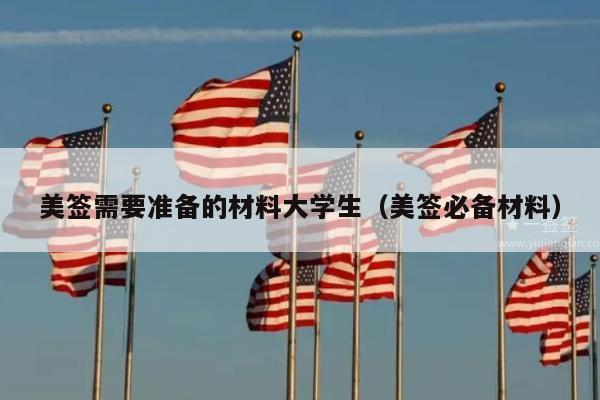 美签需要准备的材料大学生(美签必备材料)