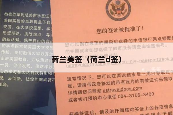 荷兰美签(荷兰d签)