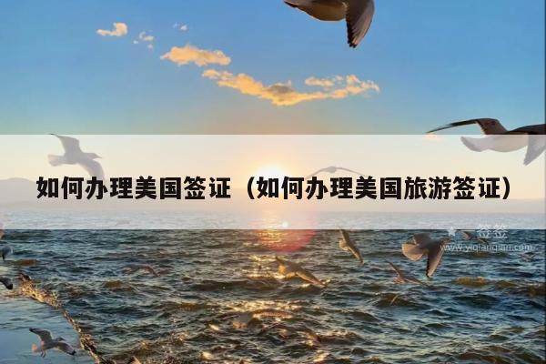 如何办理美国签证(如何办理美国旅游签证)