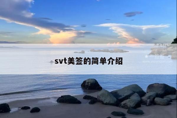 svt美签的简单介绍
