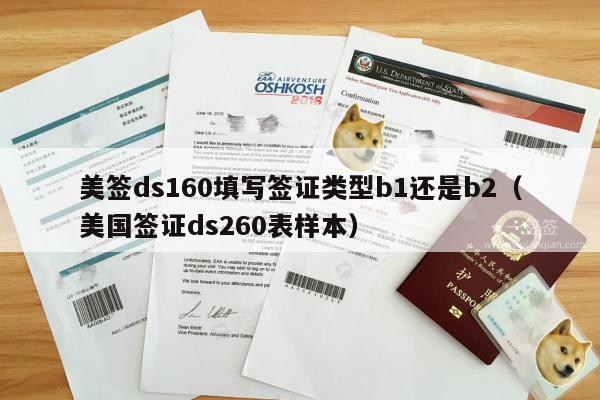 美签ds160填写签证类型b1还是b2(美国签证ds260表样本)