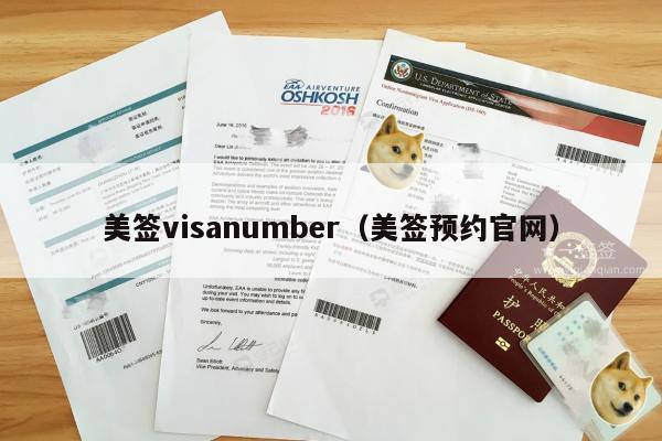 美签visanumber(美签预约官网)