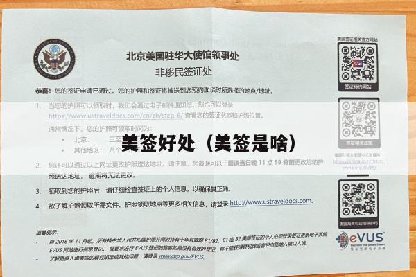 美签好处(美签是啥)