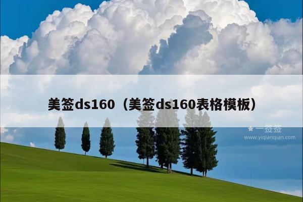 美签ds160(美签ds160表格模板)