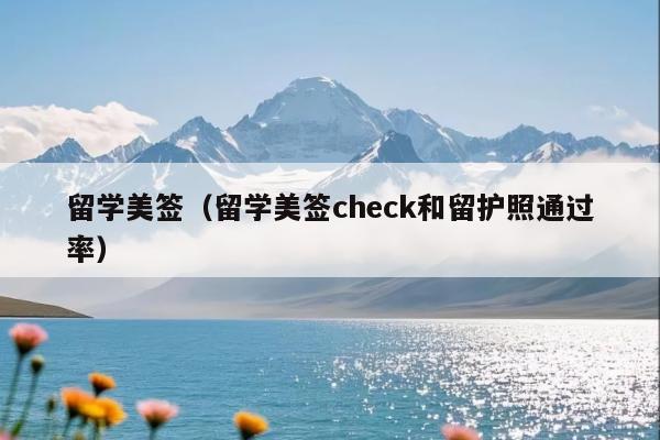 留学美签(留学美签check和留护照通过率)