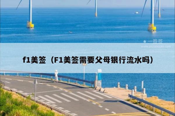f1美签(F1美签需要父母银行流水吗)