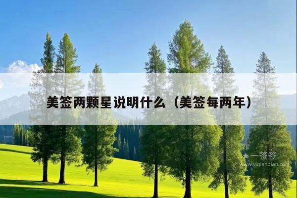美签两颗星说明什么(美签每两年)