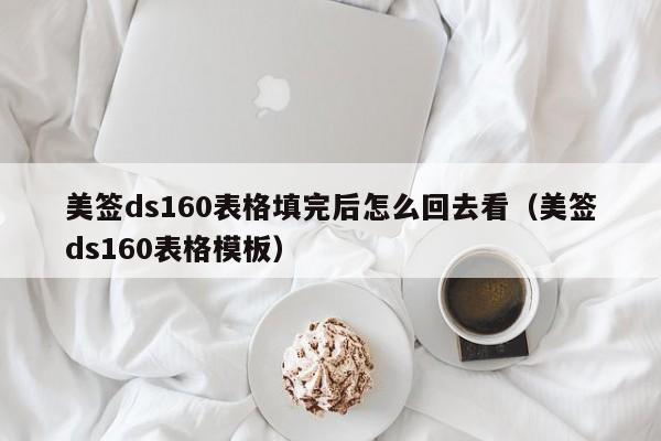 美签ds160表格填完后怎么回去看(美签ds160表格模板)