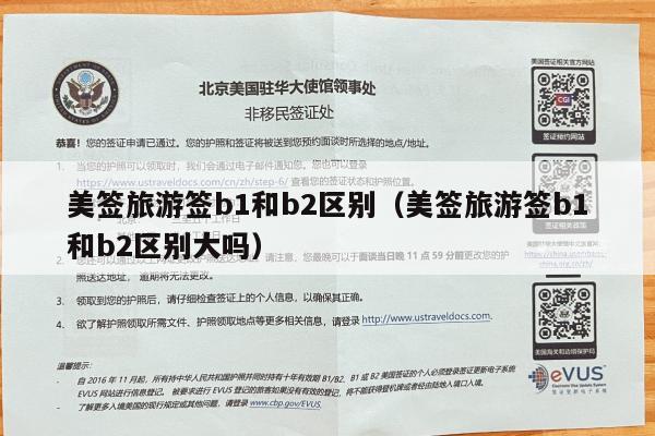 美签旅游签b1和b2区别(美签旅游签b1和b2区别大吗)