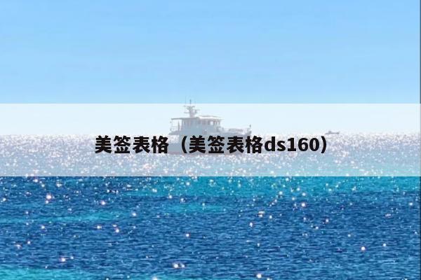 美签表格(美签表格ds160)